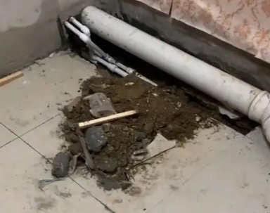 紫云卫生间漏水检测哪家好